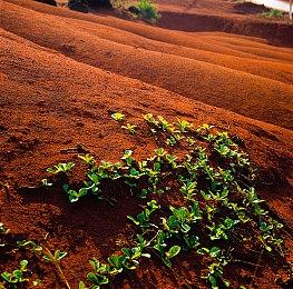 Xbox主管：认为游戏工作室不应被收购是短视想法